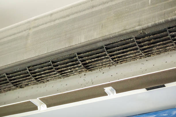 Best HVAC System Cleaning  in Fayetteville, PA